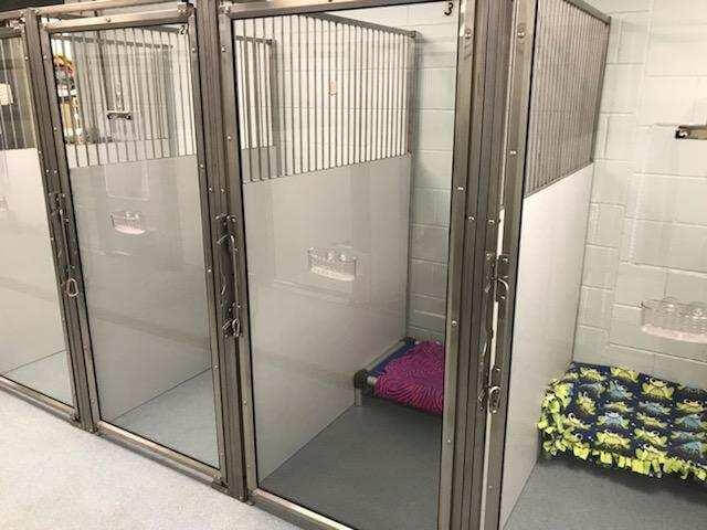 the kennels at the boarding place