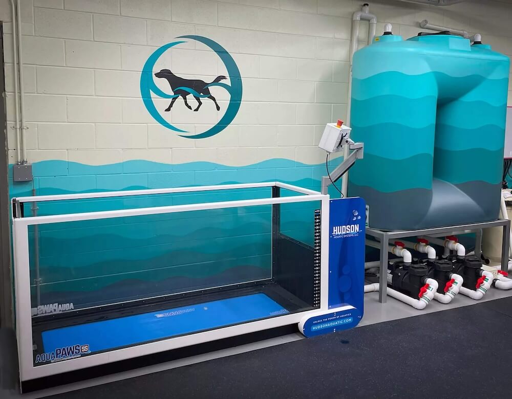 picture of the treadmill up close