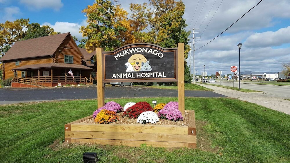 Mukwonago Animal Hospital log cabin veterinary clinic in Mukwonago, WI