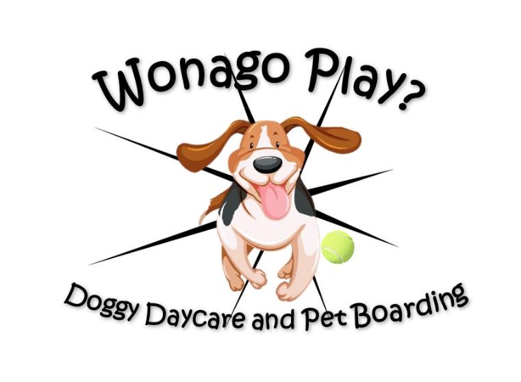 Doggy Daycare and Pet Boarding in Mukwonago, WI | Mukwonago Animal Hospital