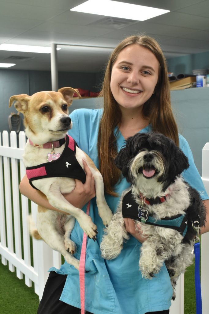 Our Team Mukwonago Animal Hospital