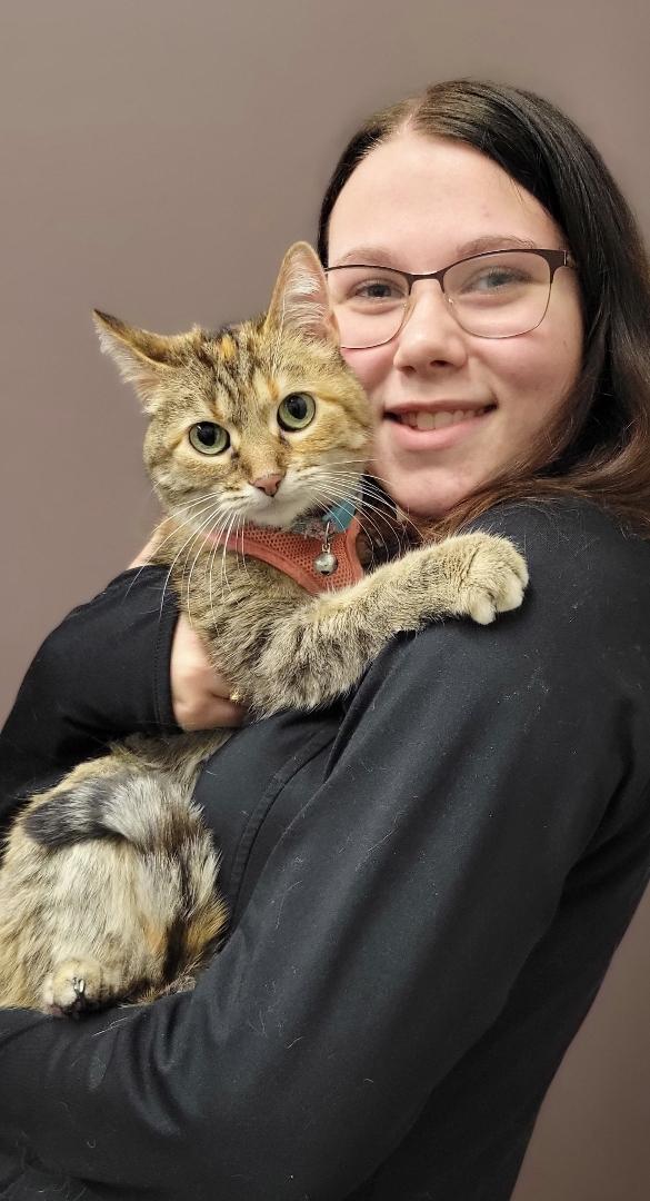 Our Team Mukwonago Animal Hospital